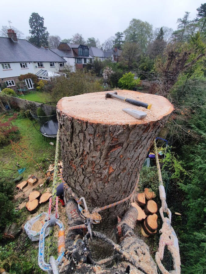 View from above